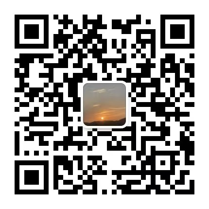 王华东微信公众号二维码：嵌入夕阳景观的艺术风格二维码，用于关注技术公众号