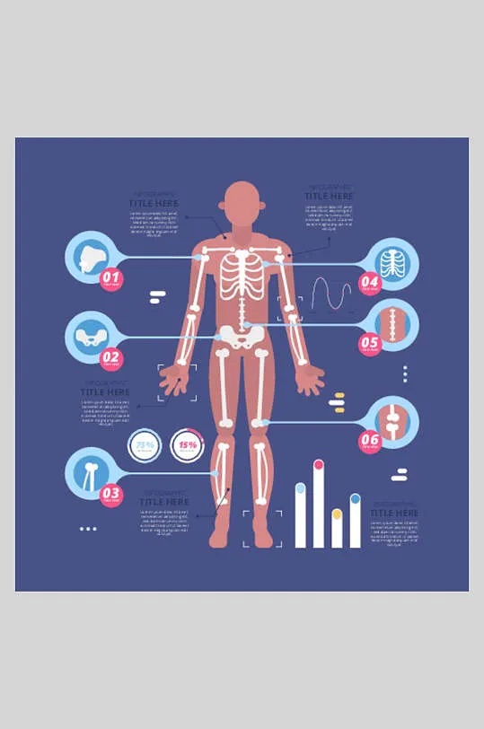 人体骨骼系统信息图：包含标注的骨骼部位与数据图表，属于医学教学用AI生成插图