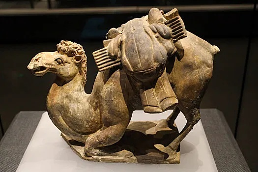 磁县北朝考古博物馆东魏陶骆驼昂首站立姿态生动_1