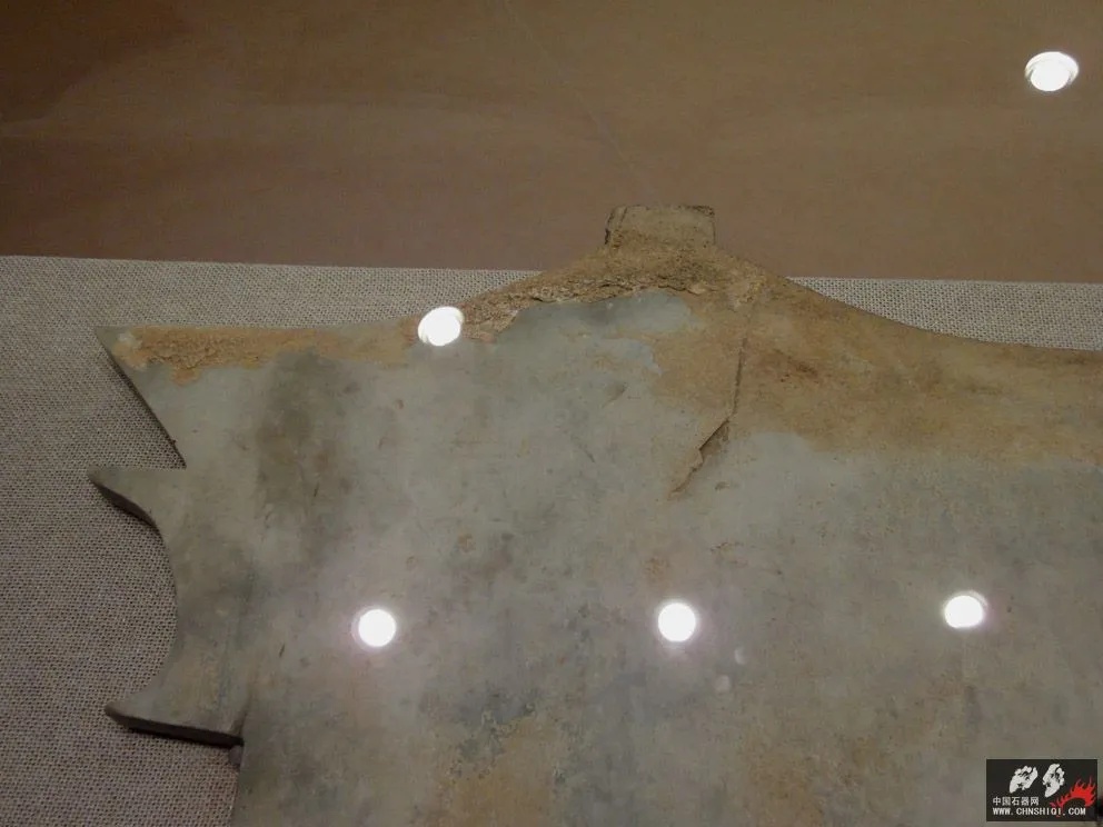 广西博物馆束腰形斜肩大石铲完整形态展示_2