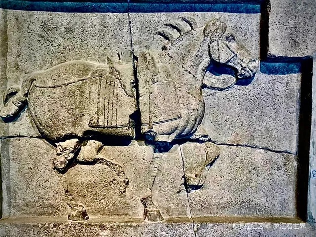 昭陵六骏石刻中马匹形态与雕刻细节展现_2