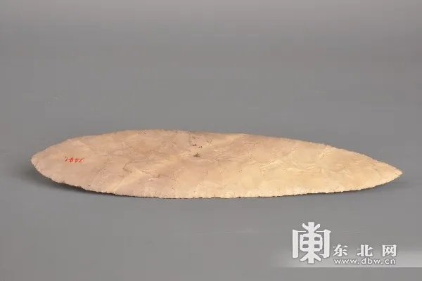 桂叶形石器细节展现石质刮削器工艺特征_2