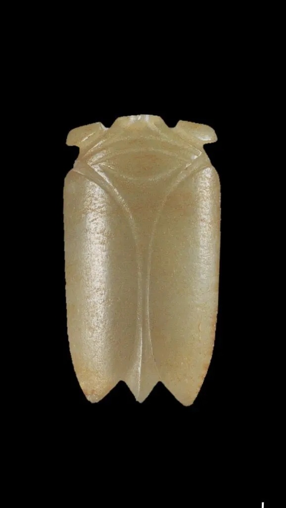 甘肃省博物馆藏汉代玉蝉雕刻细节_1