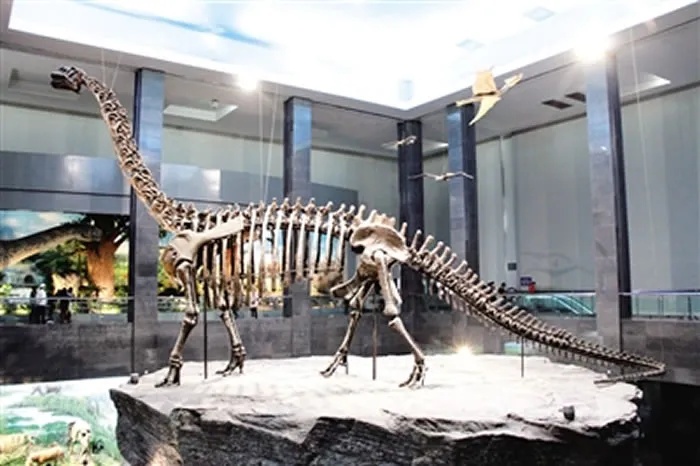 查干诺尔龙化石骨架在展厅中的仰视视角_2