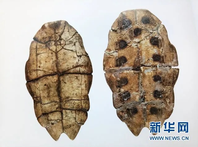 旅顺博物馆藏田猎龟甲刻辞拼接全貌_1