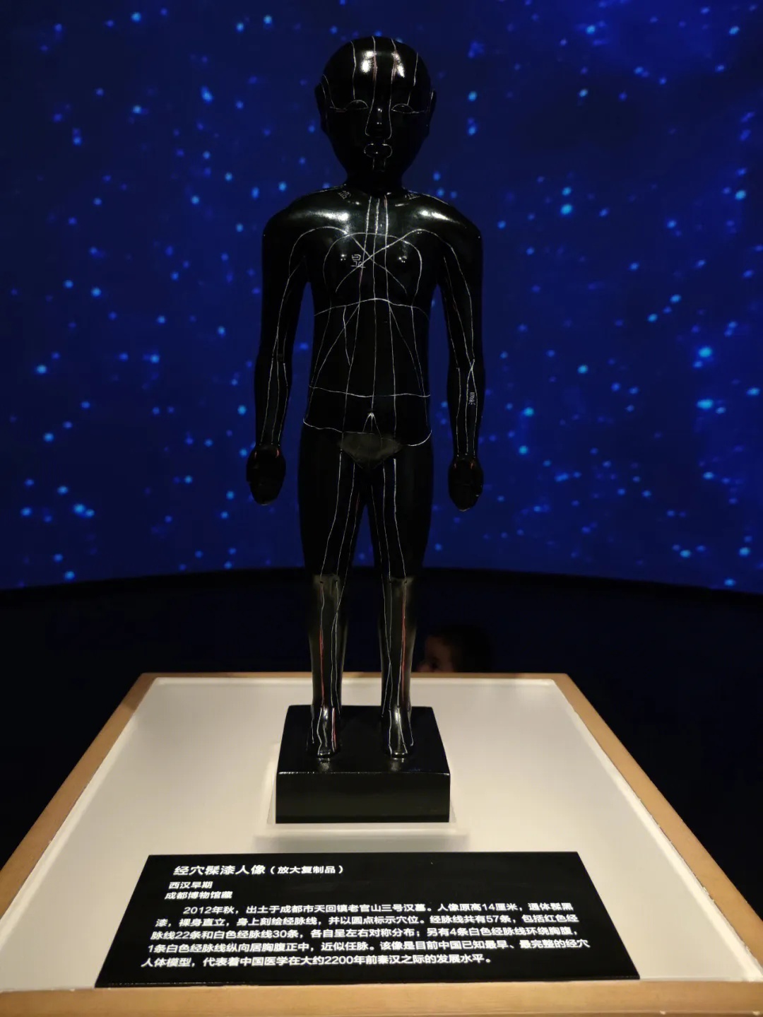 成都博物馆经穴漆人展示黑色人体上的白色经络与穴位_1
