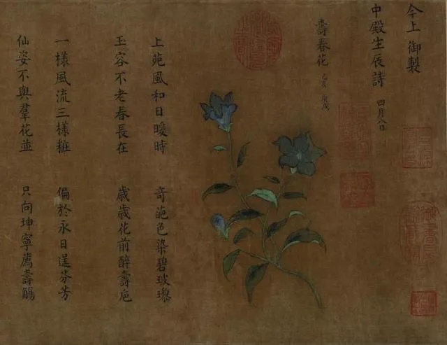 南宋百花图卷绘寿春花与题跋工笔重彩绢本画_1