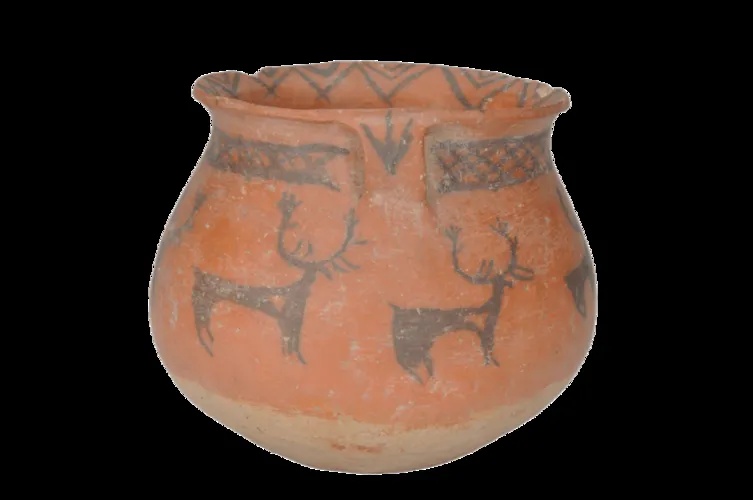 青海省博物馆鹿纹彩陶瓮整体造型与纹饰细节_1