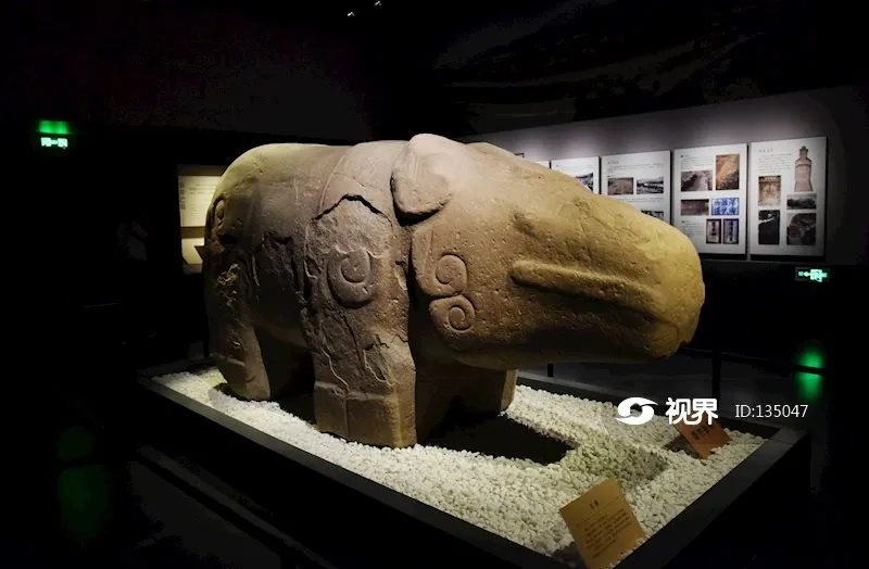 成都博物馆天府石犀站立姿态浑圆躯干粗壮四肢_1